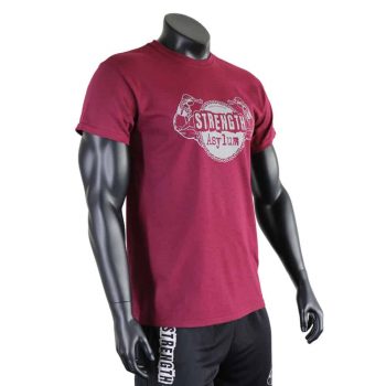 Strength Asylum T-Shirt (Original in Maroon)