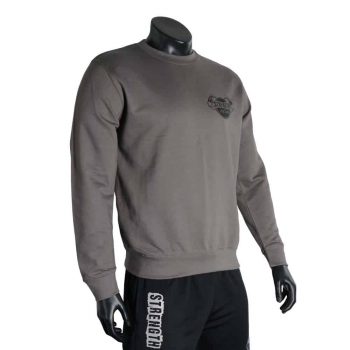 Strength Asylum Sweatshirt (Small Logo in Steel)