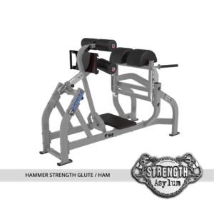 hammer-strength-glute-ham