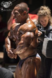 David Henry Guest Poser