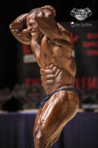 David Henry Guest Poser