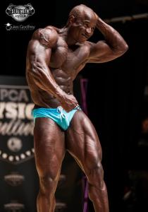 Muscle Model