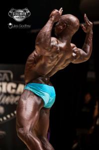Muscle Model
