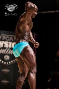 Muscle Model