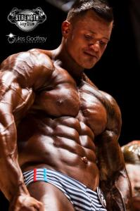 Muscle Model